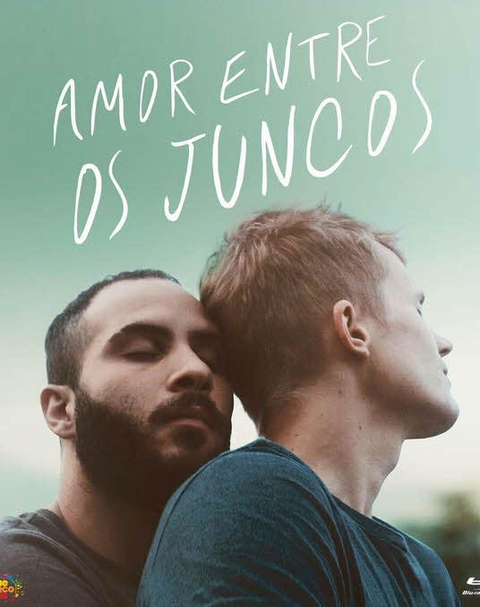 فيلم A Moment in the Reeds 2017 مترجم