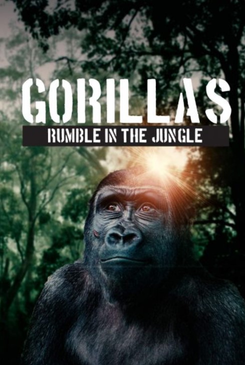 مشاهدة فيلم Gorillas Rumble In The Jungle 2020 مترجم