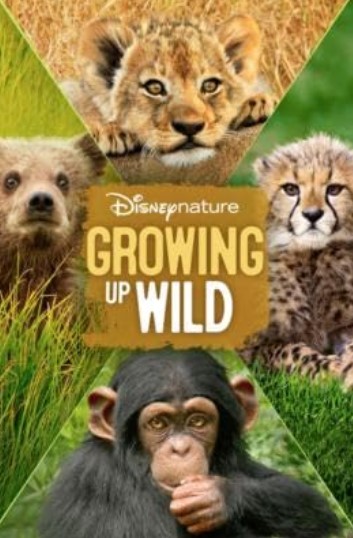 مشاهدة فيلم The Growing Up Pets in Films 2016 مترجم