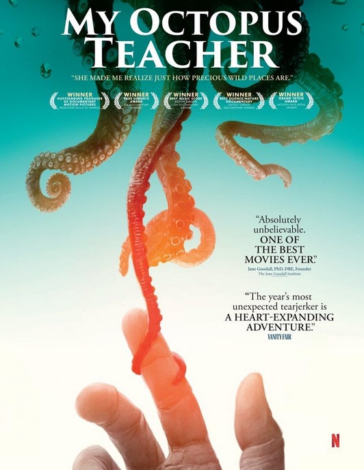 مشاهدة فيلم My Octopus Teacher 2020 مترجم