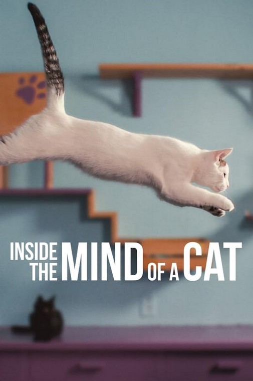 مشاهدة فيلم Inside the Mind of a Cat 2022 مترجم