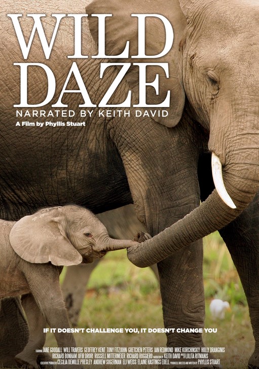 مشاهدة فيلم Wild Daze 2020 مترجم