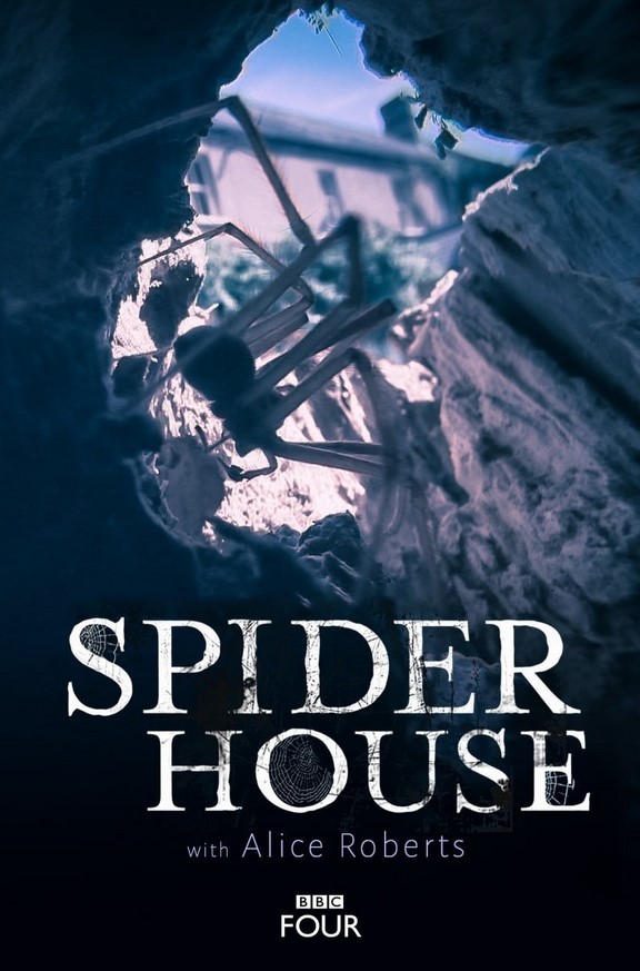مشاهدة فيلم Spider House 2014 مترجم