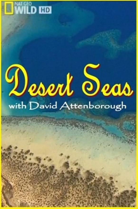 مشاهدة فيلم Desert Seas 2011 مترجم