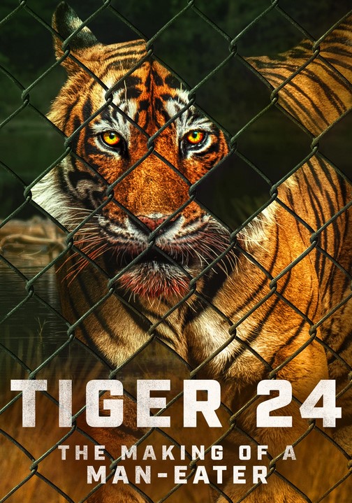 مشاهدة فيلم Tiger 24 2022 مترجم
