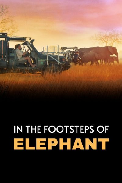 مشاهدة فيلم In the Footsteps of Elephant 2020 مترجم