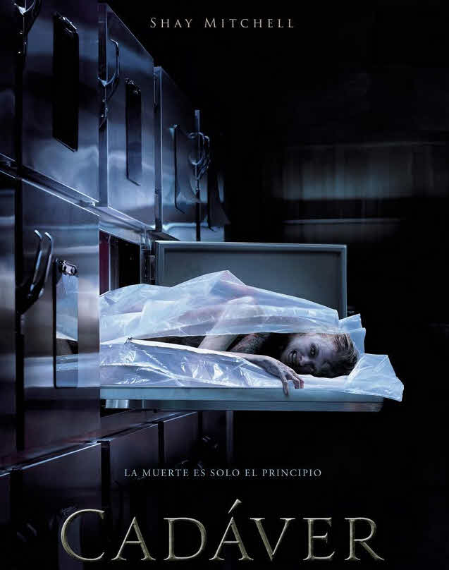 فيلم The Possession of Hannah Grace 2018 مترجم