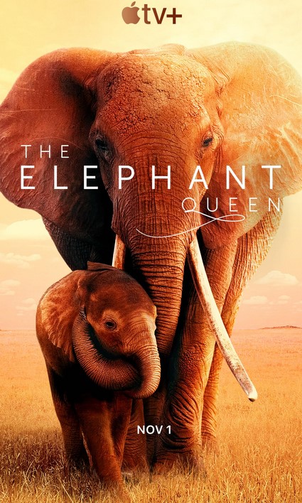 مشاهدة فيلم The Elephant Queen 2019 مترجم