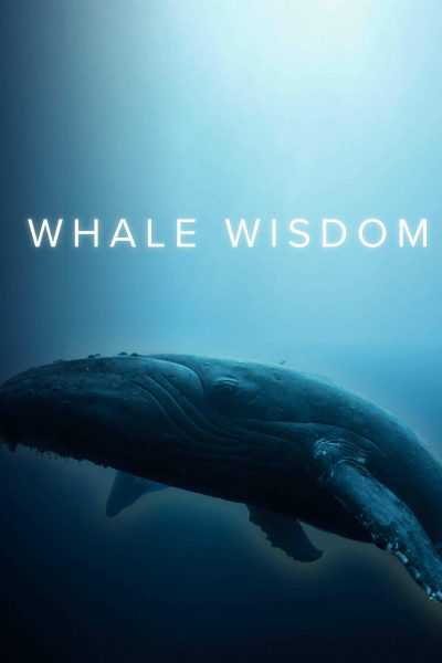 مشاهدة فيلم Whale Wisdom 2019 مترجم