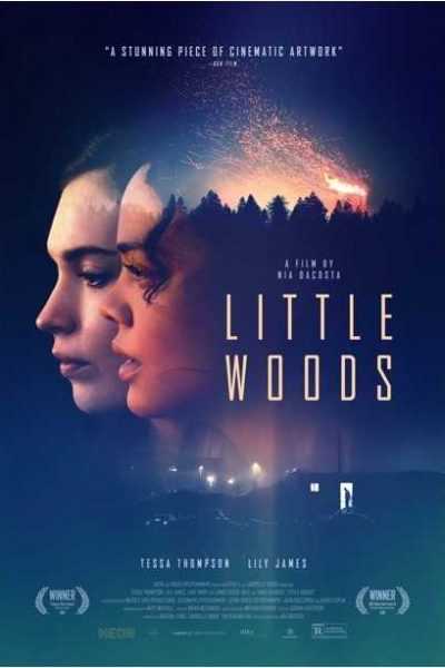 مشاهدة فيلم Little Woods 2018 مترجم