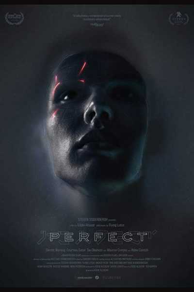 مشاهدة فيلم Perfect 2018 مترجم