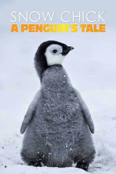 مشاهدة فيلم Snow Chick A Penguin’s Tale 2015 مترجم