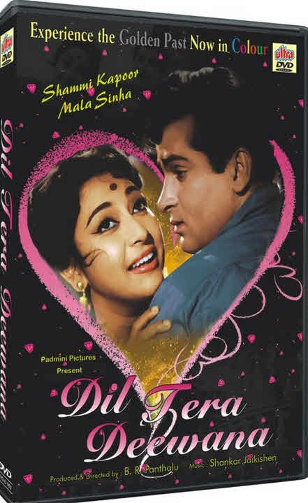 فيلم Dil Tera Diwana 1996 مترجم