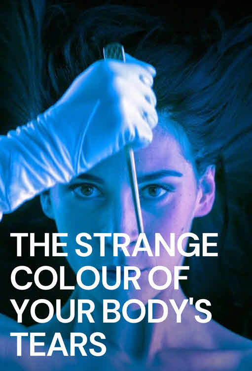 فيلم The Strange Color Tears 2013 مترجم