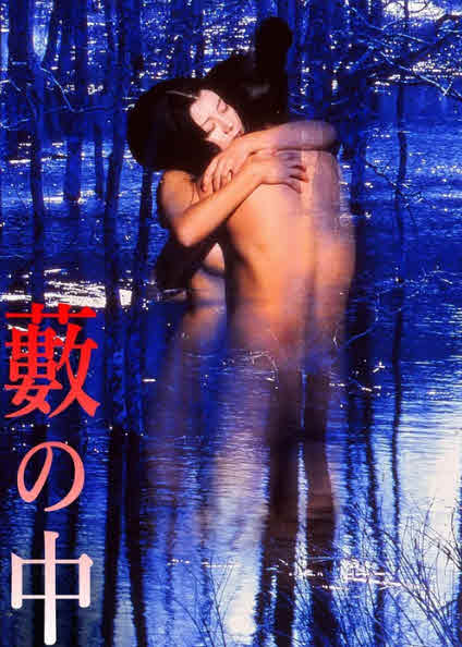 فيلم In a Thicket 1996 مترجم
